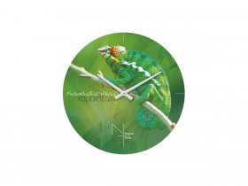 Часы настенные Nicole Time NT503 в Криводановке - krivodanovka.mebel-nsk.ru | фото